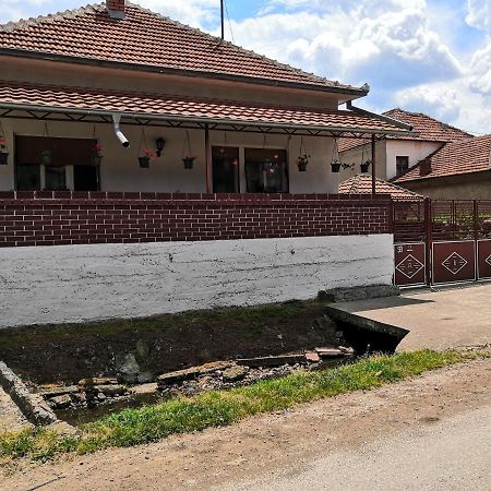 Kuca Mijalkovic Pirot Exterior photo
