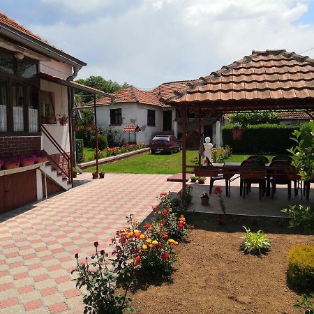 Kuca Mijalkovic Pirot Exterior photo