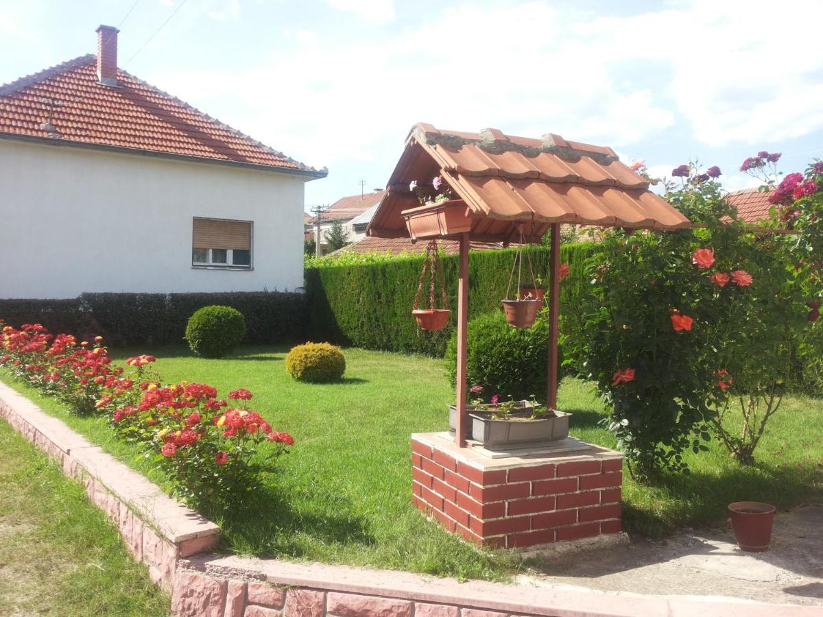 Kuca Mijalkovic Pirot Exterior photo