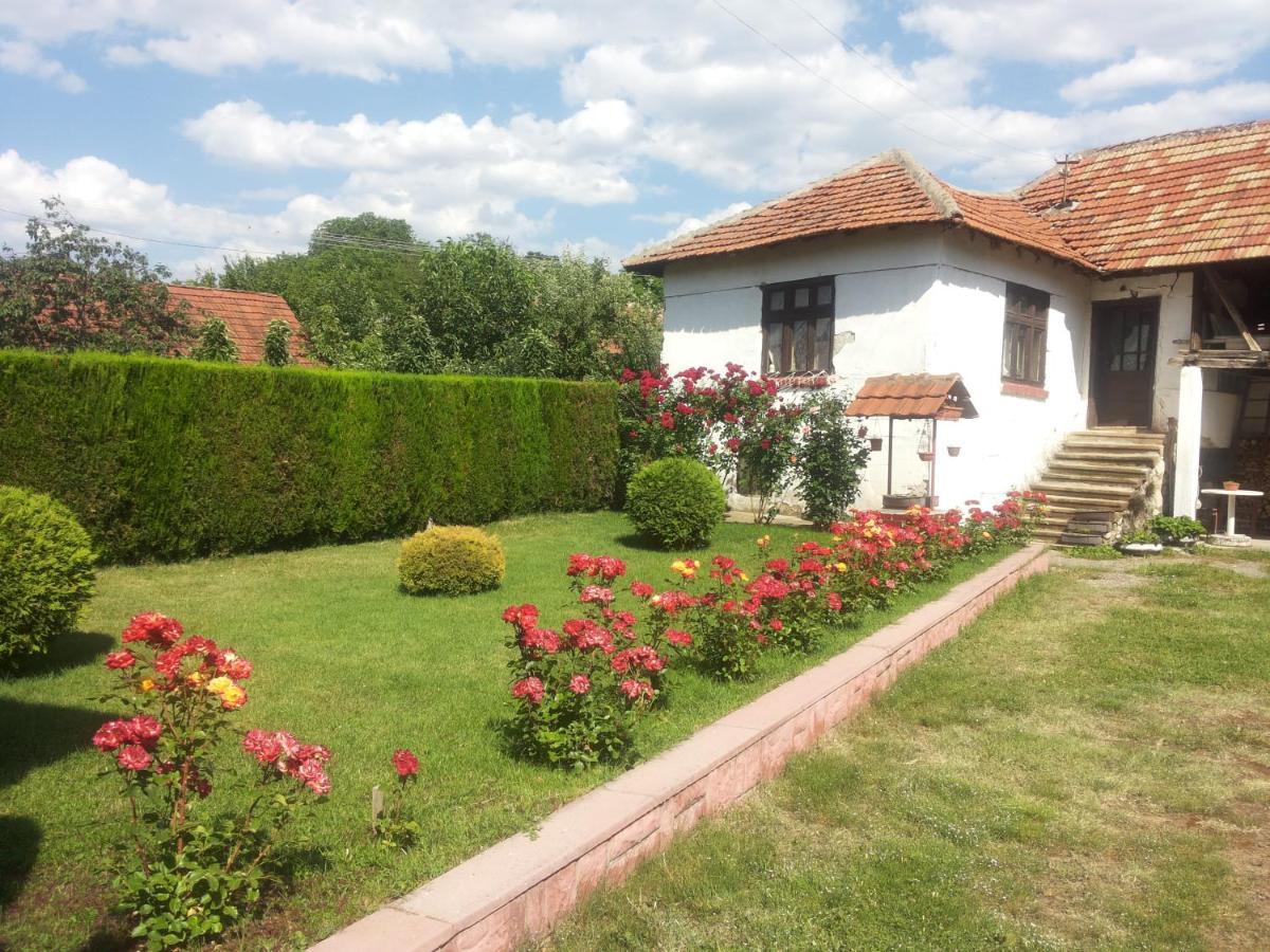 Kuca Mijalkovic Pirot Exterior photo