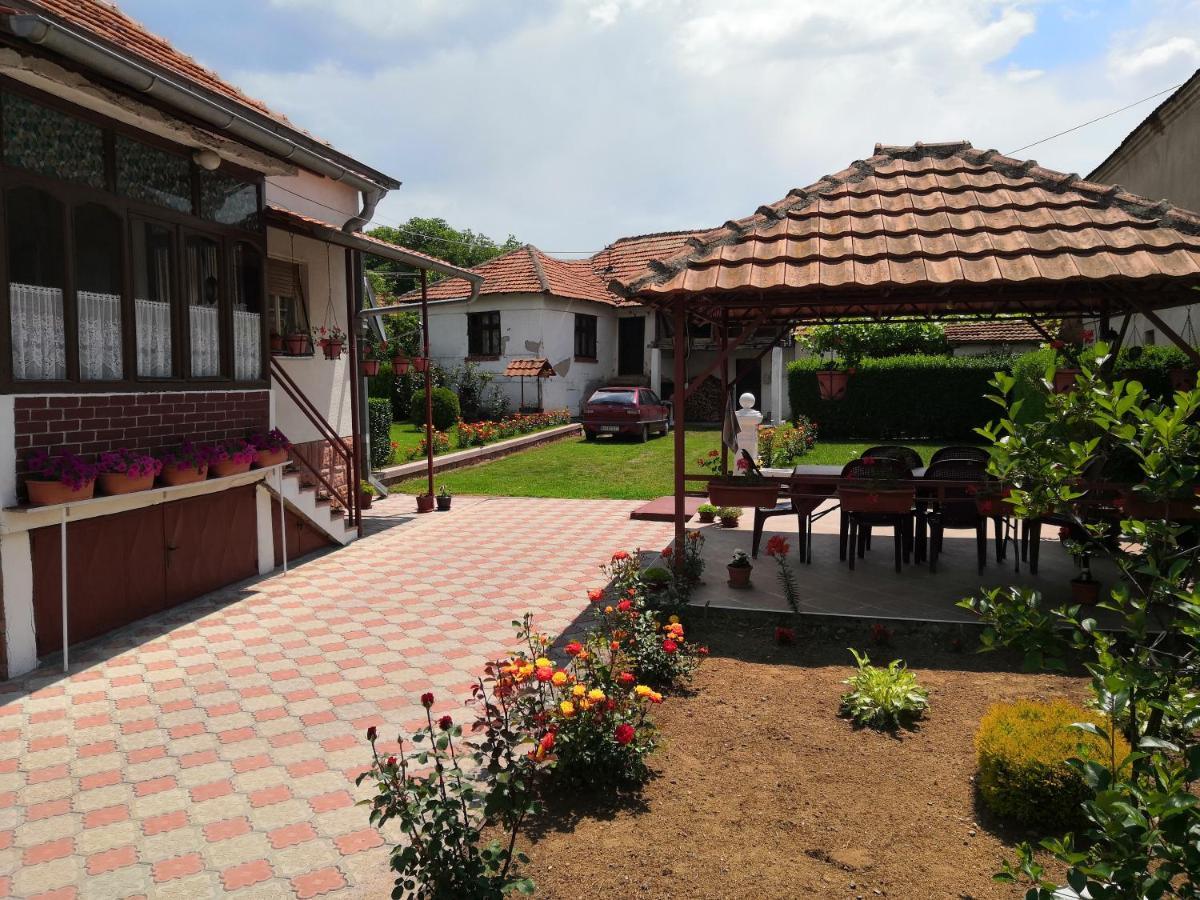 Kuca Mijalkovic Pirot Exterior photo